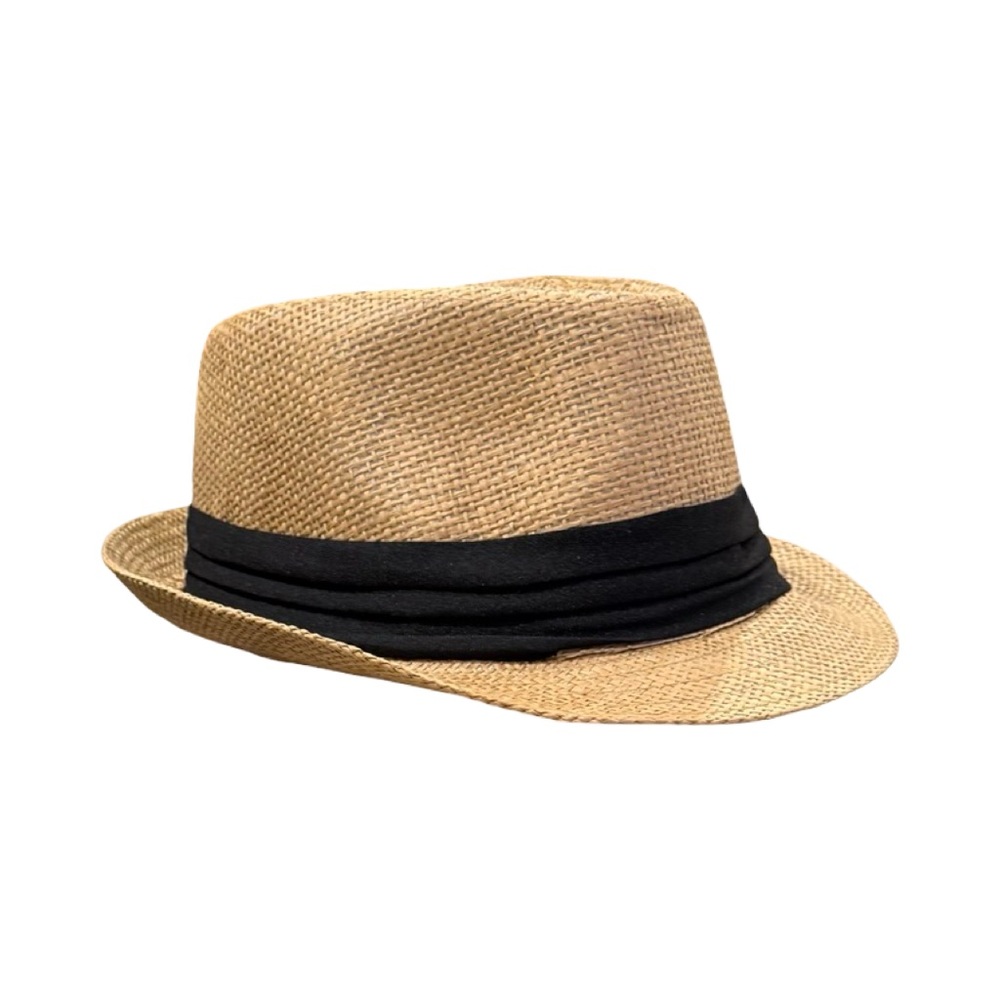 Tan Fedora with Black Band